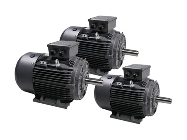 Standard three-phase induction motors
