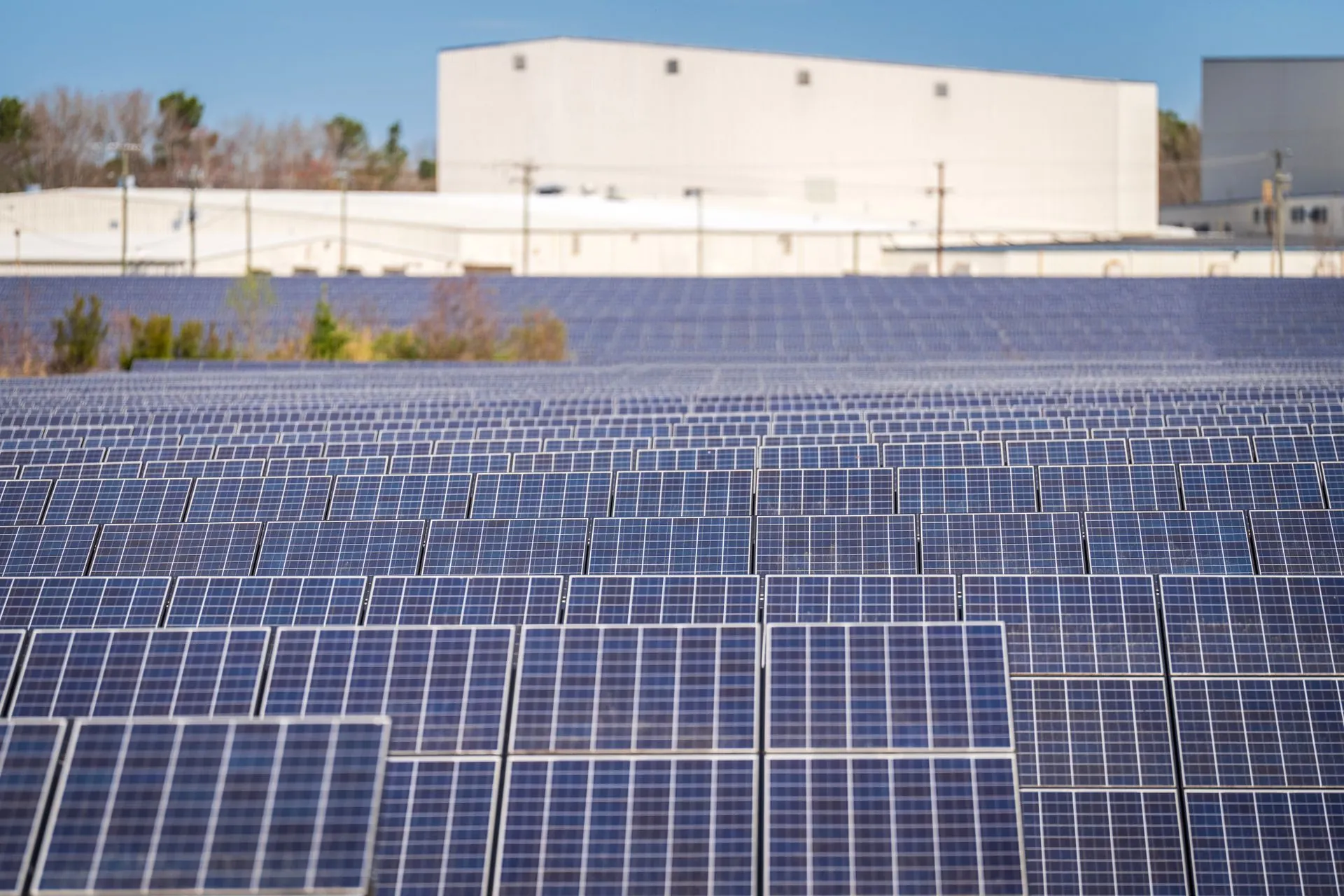 Rows of photovoltaic modules on a utility solar farm